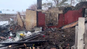 Стала известна причина пожара в Омской области, где погибла мать с тремя детьми