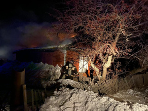 В Омской области при пожаре погибли мать и трое детей