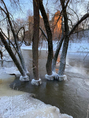 Река Протва. Фото © Telegram / Gismeteo / Евгения