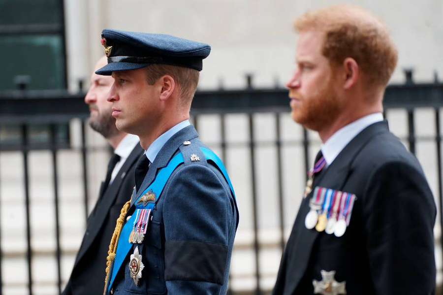 Принц Уэльский Уильям и принц Гарри (справа). Обложка © ТАСС / AP / James Manning