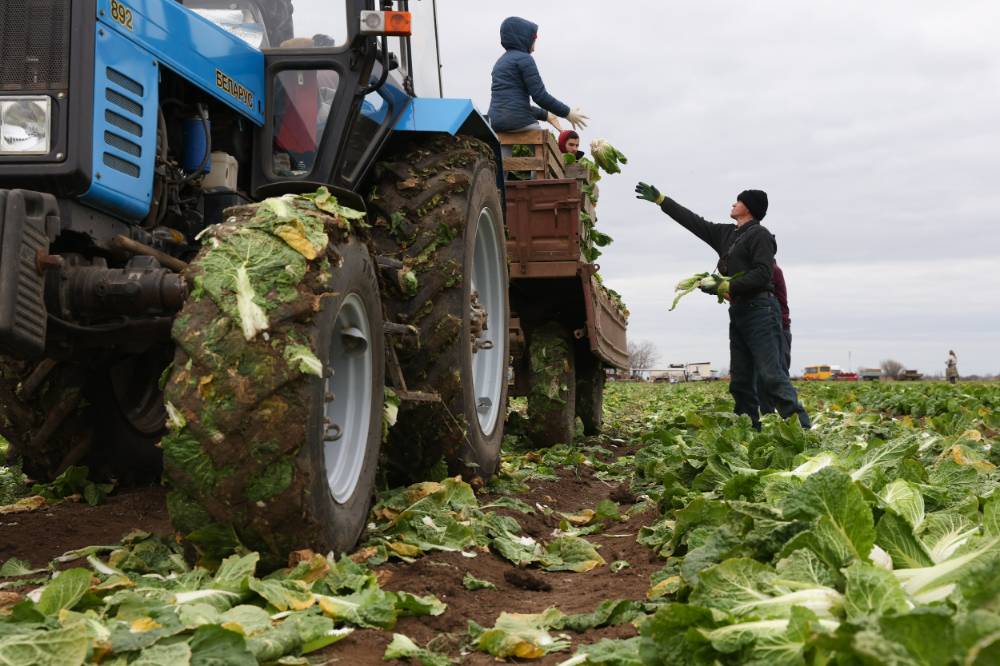 США продлили действие послаблений для российской сельхозпродукции