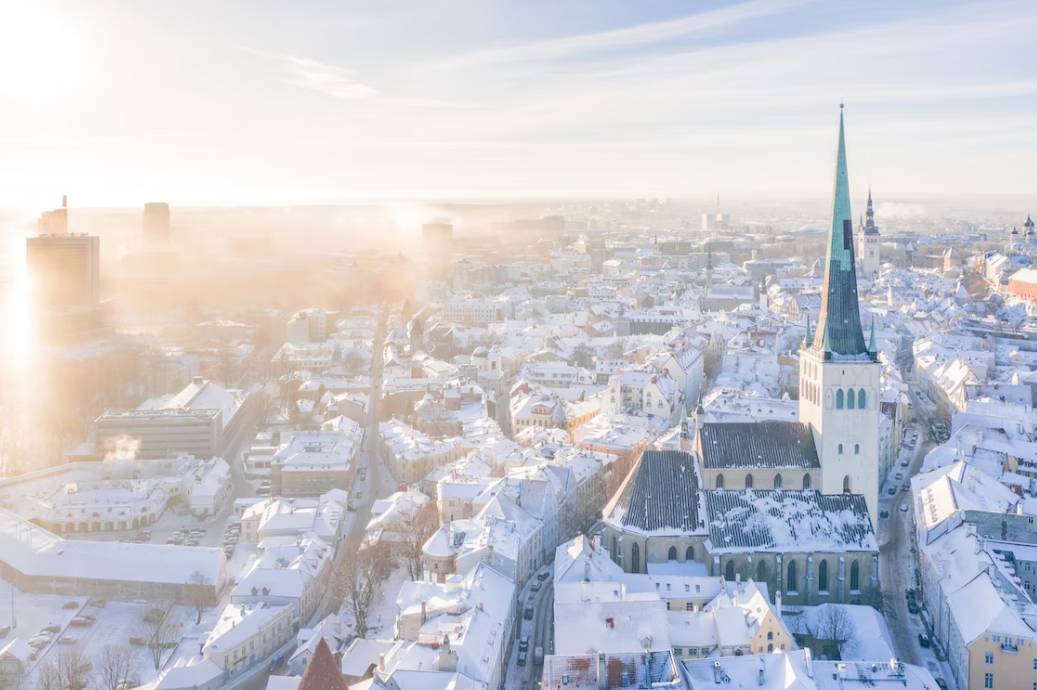 В Эстонии больше нельзя отказаться от гражданства России