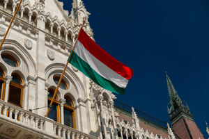Будапешт призвал Украину прекратить зверства против венгров в Закарпатье