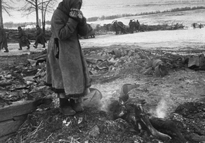 Суд признал геноцидом массовые убийства на Ставрополье в годы Великой Отечественной войны