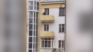 Москвичи спасли незрячего пенсионера, застрявшего на балконе