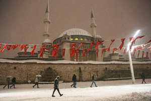 Россиянам в Турции стало сложнее получить туристический ВНЖ