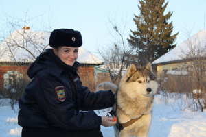 В Кузбассе сотрудница полиции отбила хаски от стаи бродячих собак и обрела нового друга