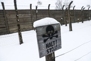 Мир забыл уроки холокоста, считают в СПЧ