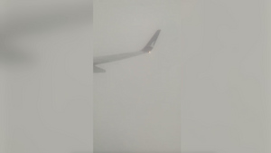 В Турции пассажирка сняла на видео момент удара молнии в крыло самолёта и панику на борту