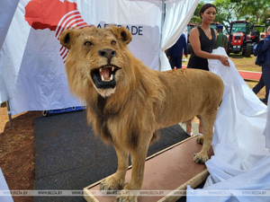 Эксперт по этикету расшифровала символизм подаренного Лукашенко чучела льва