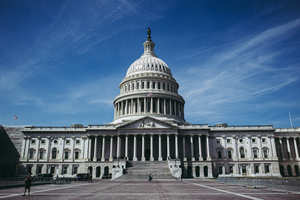 Палата представителей США впервые с 1859 года начала десятый тур выборов спикера