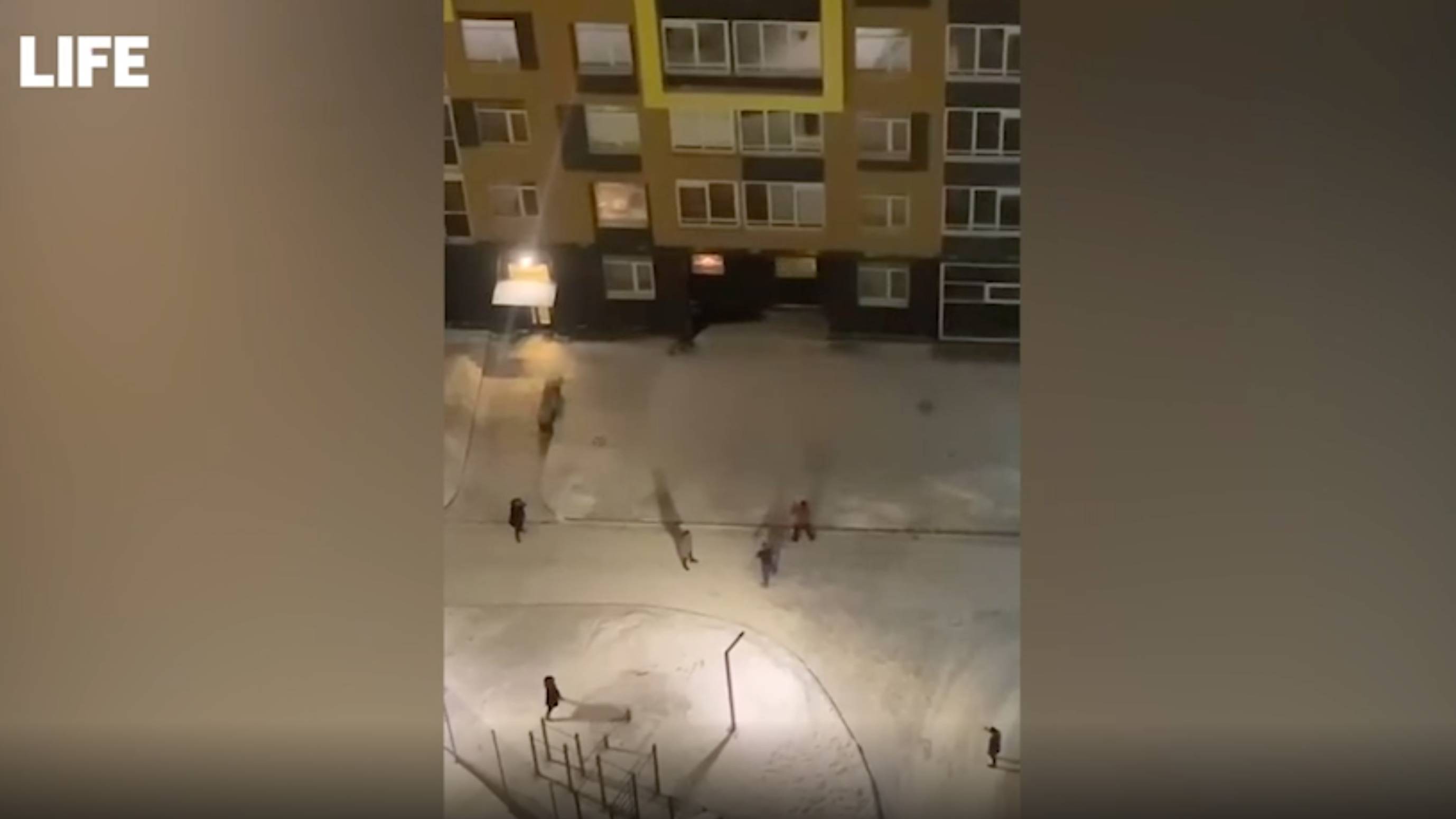 Неизвестный накинулся с ножом на мужчину во дворе дома в Ленобласти