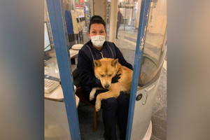 Грустный рыжий пёс ждёт хозяина в петербургском метро