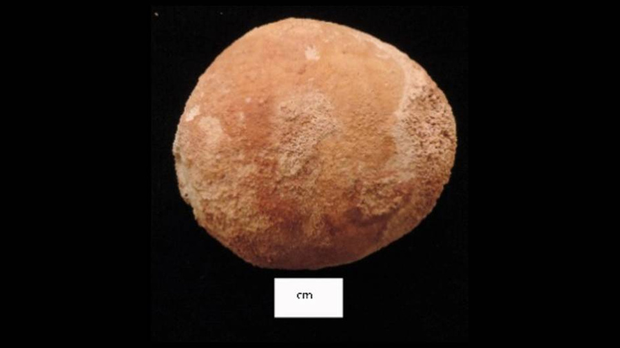 Камень из мочевого пузыря, найденный в могиле жительницы Древнего Египта. Фото © International Journal of Paleopathology, 2023 / Gretchen Dabbs