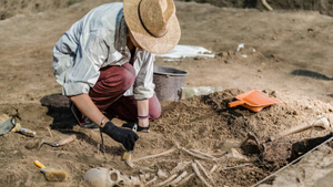 Камень из мочевого пузыря нашли археологи в могиле древней египтянки