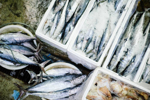 Россия вводит временное ограничение на импорт рыбы и морепродуктов из Японии