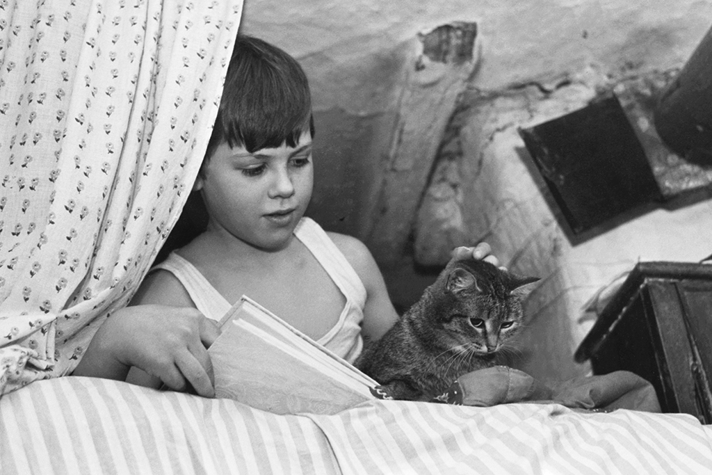 Какие породы кошек чаще всего встречались в СССР? Фото © Виктор Садчиков