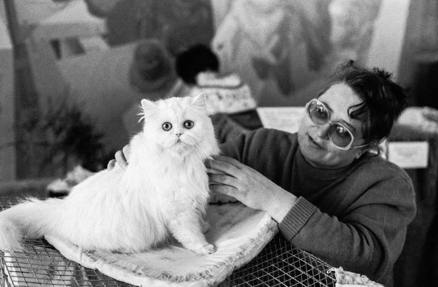 Кошки Советского Союза: какие породы были популярны у граждан во времена СССР? Фото © ТАСС / Борис Клипиницер 