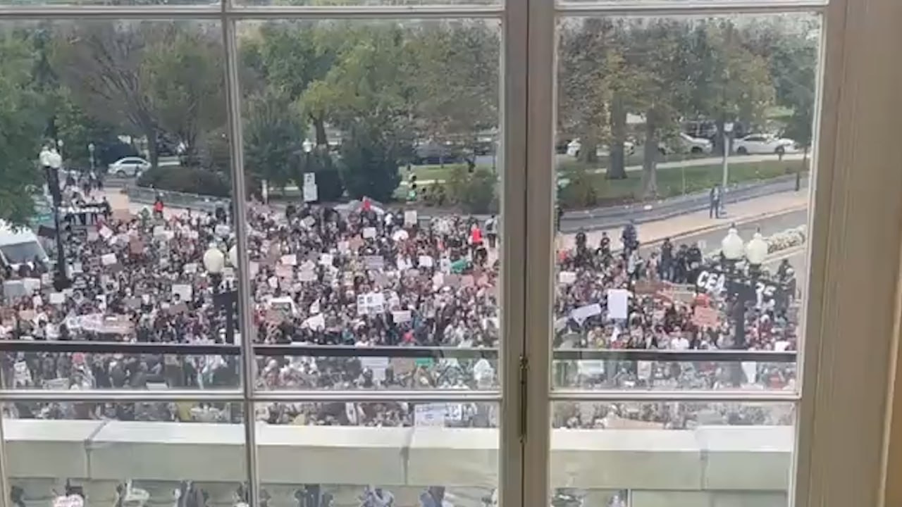 Протестующие против израильских атак по сектору Газа ворвались в Капитолий. Кадр из видео © X / Ford Fischer