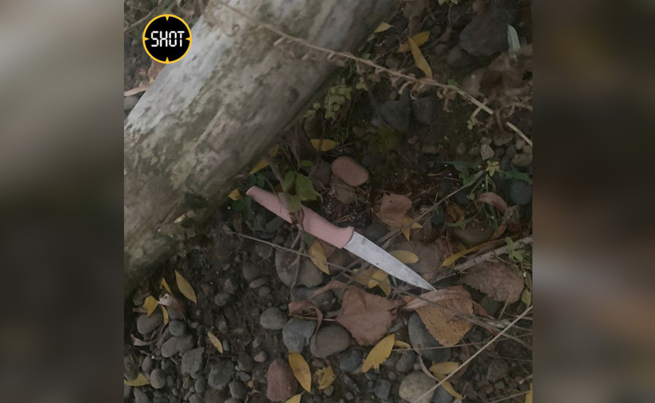 Нож, с которым напали на Константина Новитского. Фото © t.me / SHOT