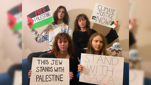 Грета Тунберг поддержала Палестину и Газу, призвав к прекращению огня
