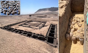 Гробница с древним вином вскрыла интересные факты о первой египетской царице