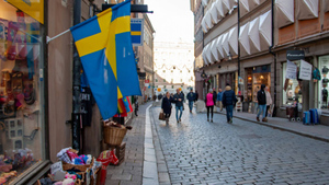 В Швеции рассчитывают вступить в НАТО к концу ноября