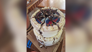 Агент Киева попытался отравить тортом 77 российских лётчиков на Кубани