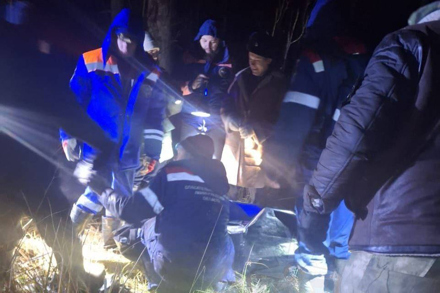 В Ленинградской области поисковики обнаружили в лесу тело пропавшей женщины. Фото © Telegram / Аварийно-спасательная служба ЛО