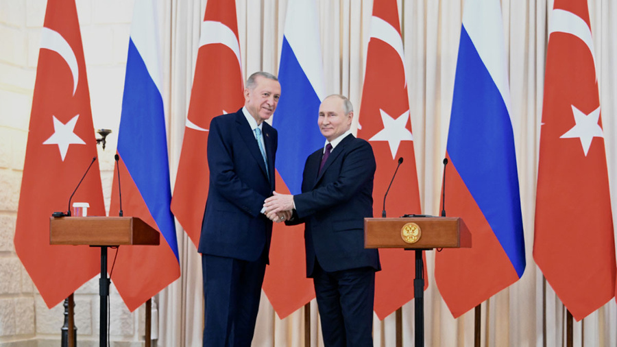 Президент России Владимир Путин и турецкий лидер Реджеп Тайип Эрдоган. Обложка © LIFE / Павел Баранов
