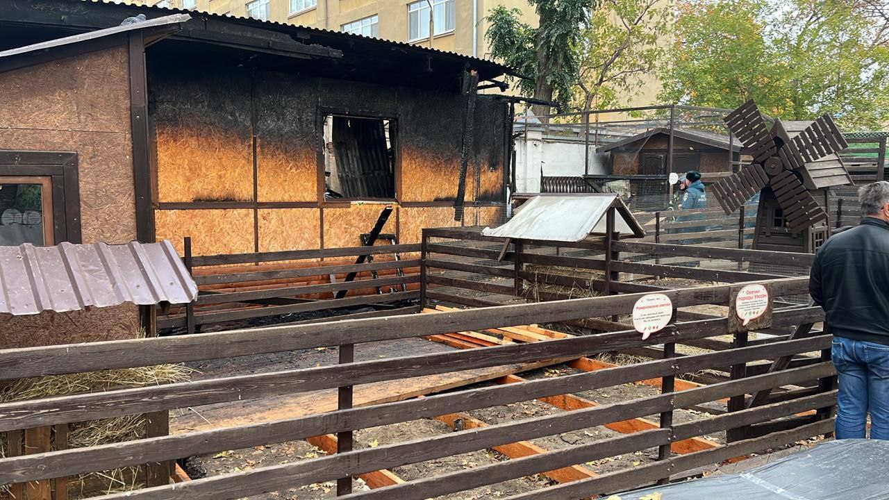 Сгоревший павильон саратовского зоопарка. Фото © Telegram / Прокуратура Саратовской области