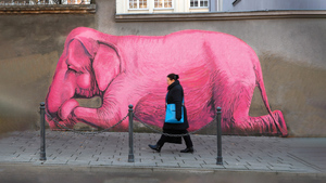 Что такое парадокс розового слона и как он влияет на наши эмоции и решения?