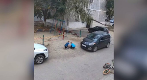 Двое детей заживо закопали котёнка на Кубани