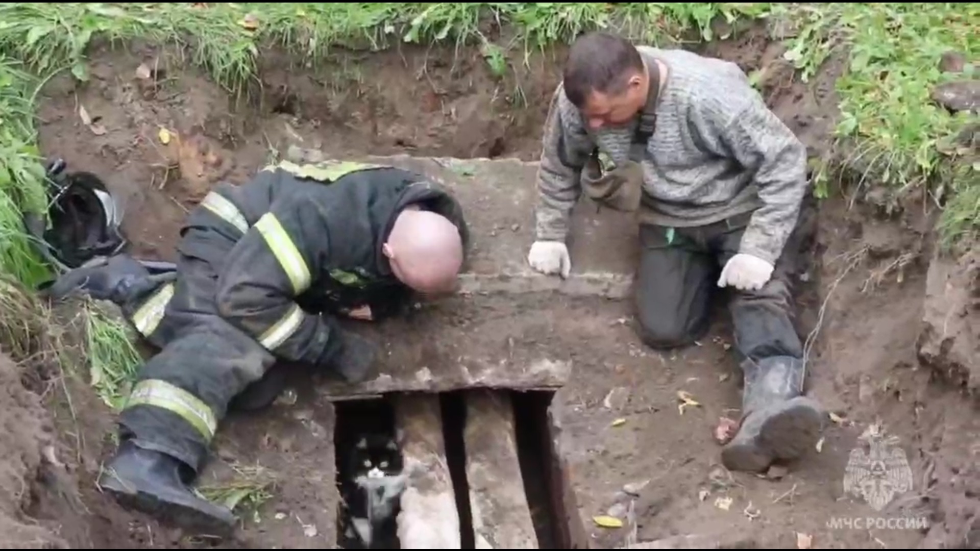 Восемь дней в подземелье: В Ярославле вскрыли теплотрассу для спасения застрявшего кота Васьки