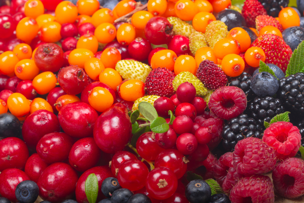 Составлен топ-3 самых полезных ягод, на которые нужно налегать осенью