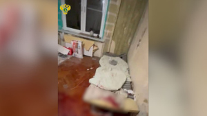 Вместе делали ремонт: В московской квартире мужчину зарезал 18-летний знакомый