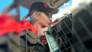 Зоозащитница Кошанская задержана за стычку с полицией из-за московской "кошки-пленницы"
