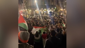 "Спасите детей Газы": У Посольства США в Брюсселе прошла акция в поддержку Палестины