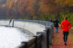 Москвичам рассказали, когда в город придёт настоящая зима