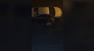 Избитая пьяной собачницей на севере Москвы 14-летняя девочка попала в больницу