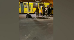 Военкомы запихнули украинца в фургон и увезли под крики очевидцев