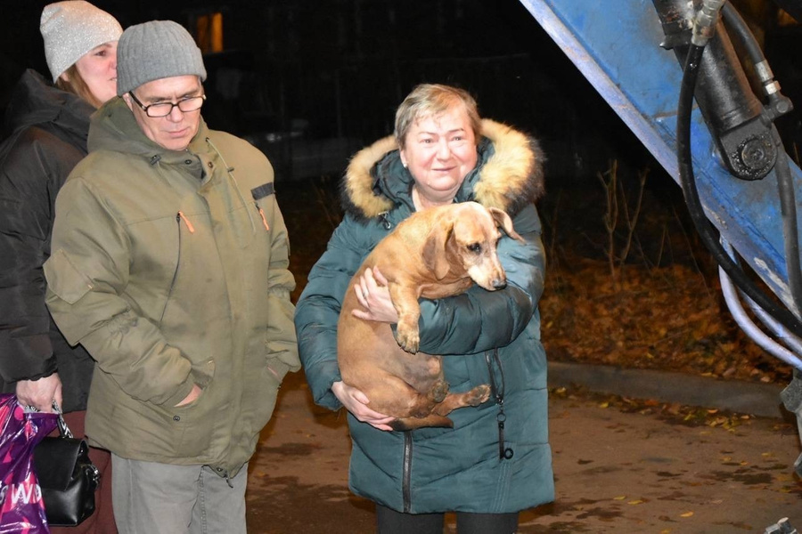 В подмосковном Подольске спасли пожилую таксу, застрявшую в канализационном люке. Обложка © VK / Администрация г.о. Подольск