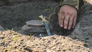 ВСУ заложили полмиллиона мин на границе с Россией и Белоруссией