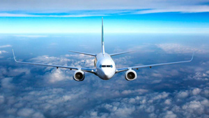 Самолёт со 182 пассажирами подал сигнал тревоги во время рейса из Сочи