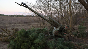 Песков: Российские бойцы в зоне СВО воюют в том числе за русский язык