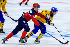 Норвежская федерация отменила ЧМ-2024 по хоккею с мячом
