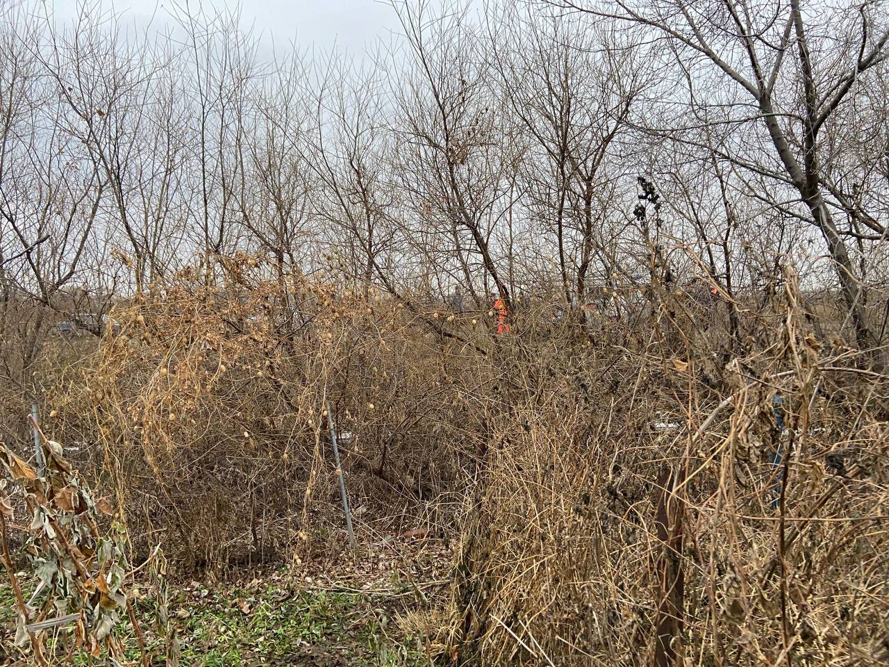 Место, где нашли тело пропавшего в Ачинске мальчика. Фото © Telegram / ГСУ СК России по Красноярскому краю и Республике Хакасия