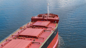 Украинские СМИ опровергли подрыв на мине вышедшего из одесского порта балкера