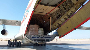 Очередной борт МЧС России доставил 30 тонн гумпомощи жителям сектора Газа