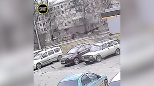 Появилось видео падения тополя на автомобиль в Новокузнецке, убившего двух человек